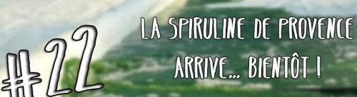 Production Spiruline de Provence